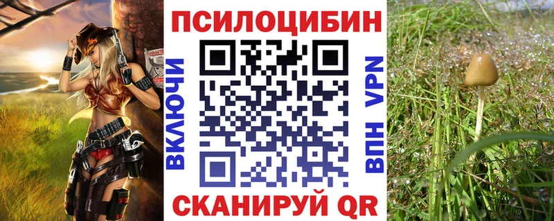 Галлюциногенные грибы Psilocybe  Купить  Анива 