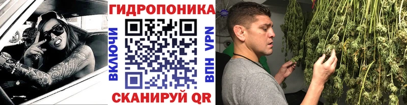 Бошки марихуана VHQ Купить где Анива